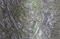 Olivers Battery fibreglass roof work